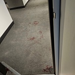 澳洲知名公寓疑爆命案，有人被捅血迹斑斑！华人住户：“有人一直捶我家门，大声喊救命！”（组图）