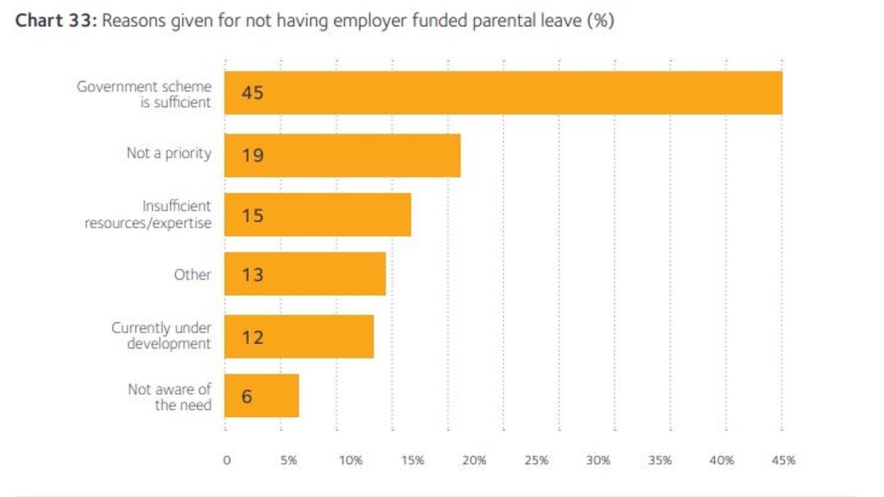 Many employers believe the government paid parental scheme is sufficient. Picture: WGEA.