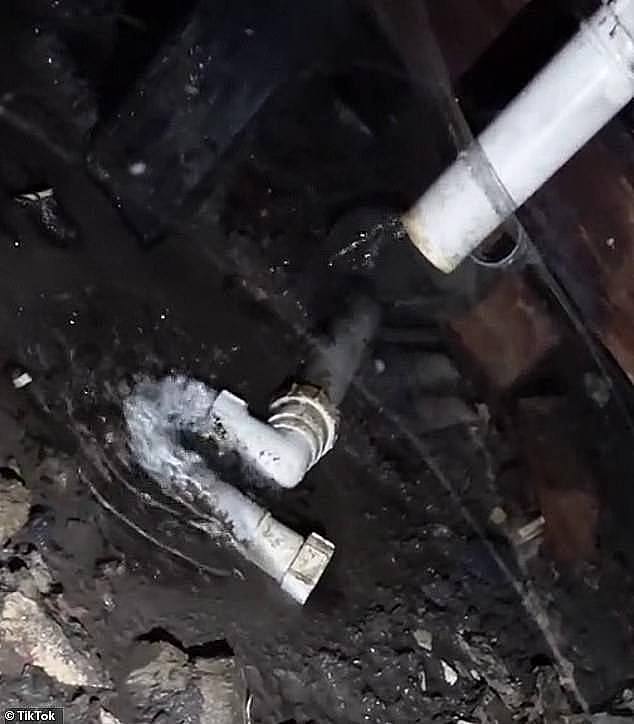 Mr van den Berg has made a name for himself online for touring terrible rentals and shaming lax landlords (pictured, an unfixed leak in a rental)