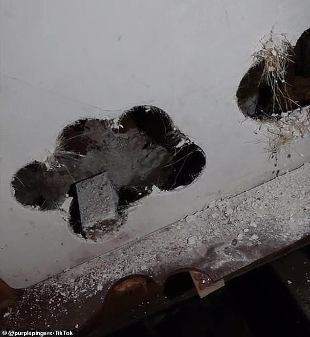 He has found people living with water-logged carpets, mouldy ceilings, exposed wires and asbestos (pictured)