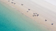 曾被评为全球最佳，5万澳洲人票选的最佳海滩竟是它！悉尼知名海滩未入前三，这一州成评选大赢家（组图）
