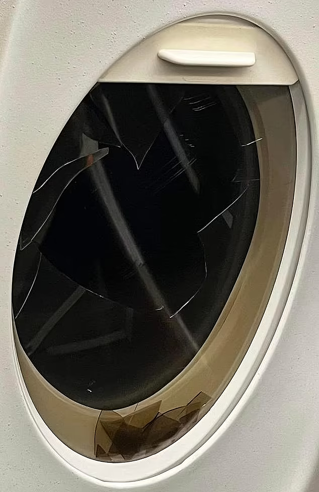 视频曝光！澳男飞机上闹事，殴打乘客击碎窗户，最终领刑16个月（视频/组图） - 4