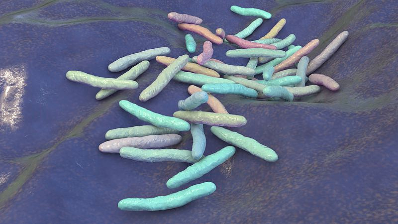 警惕！墨尔本多地细菌感染病例增加，当局支招预防（图） - 2