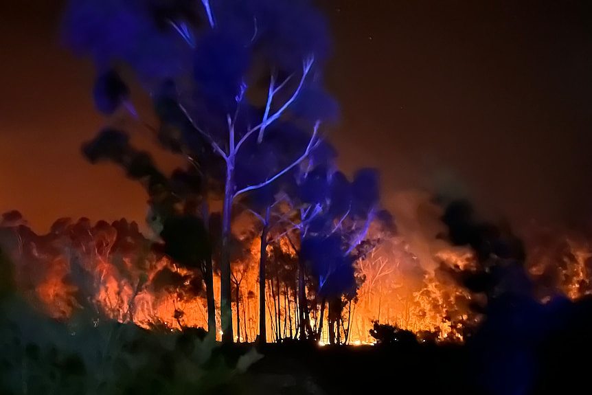 分析：澳洲山火季节临近，工党政府推动可再生能源变革面临瓶颈（视频/组图） - 1