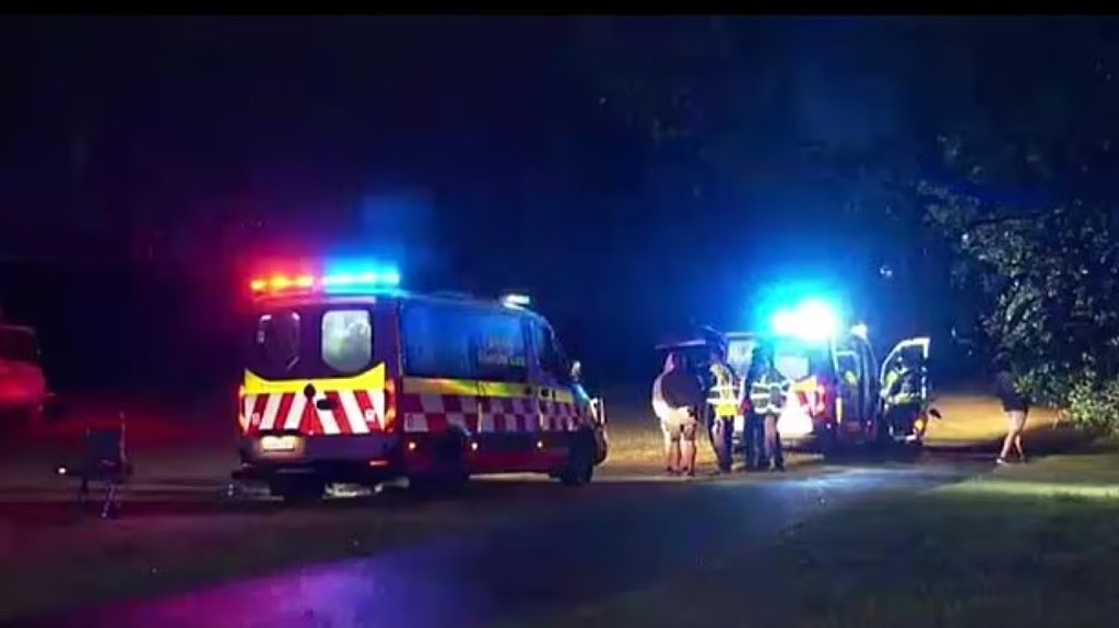 悉尼发生惨烈车祸！P牌司机驾皮卡车撞树，致1死5伤（组图） - 3