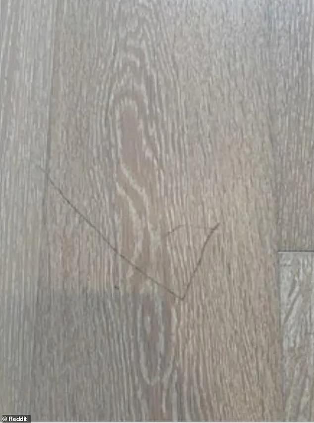 A close-up of the scratched floorboard