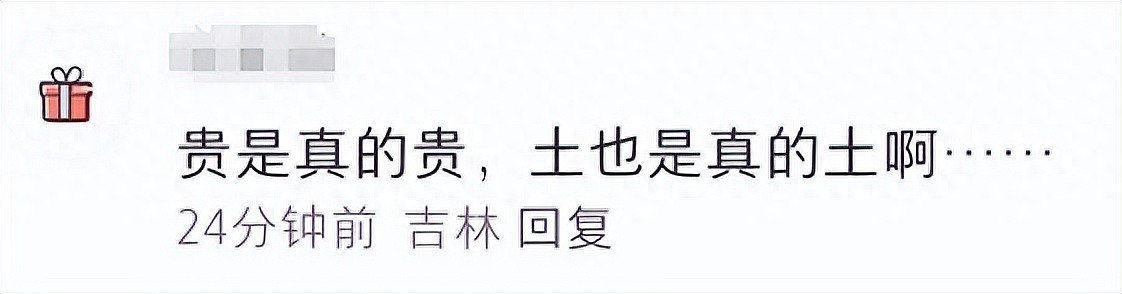 李湘王岳伦晒照为王诗龄庆生，两套造型价值超7万，却被吐槽土气（组图） - 10