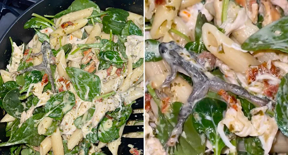 A frog covered in sauce on top of spinach leaves in the pesto pasta cooked by the Woolworths shopper. 