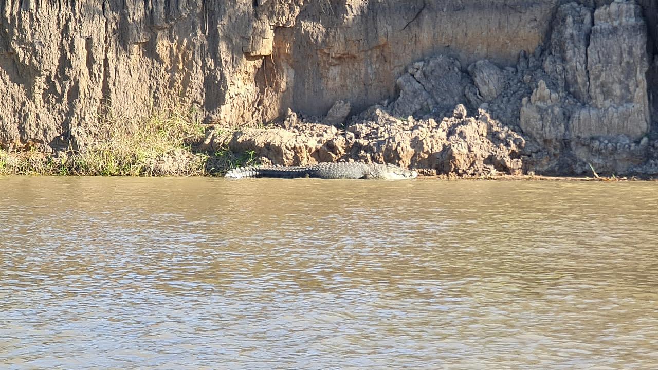 罗克汉普顿的菲茨罗伊河是“鳄鱼之乡”，每年都会有多次鳄鱼目击事件。 图片：DES