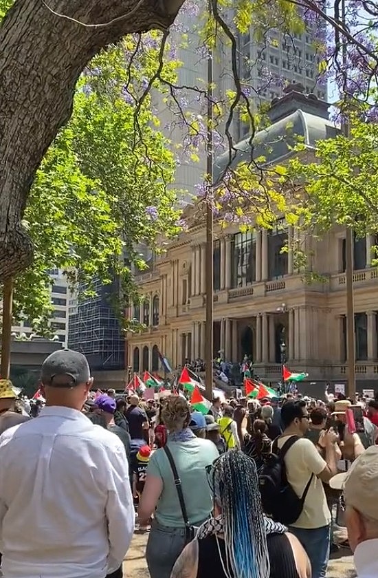 悉尼CBD再次爆发亲巴勒斯坦游行！数千示威者涌向市政厅（视频/组图） - 20