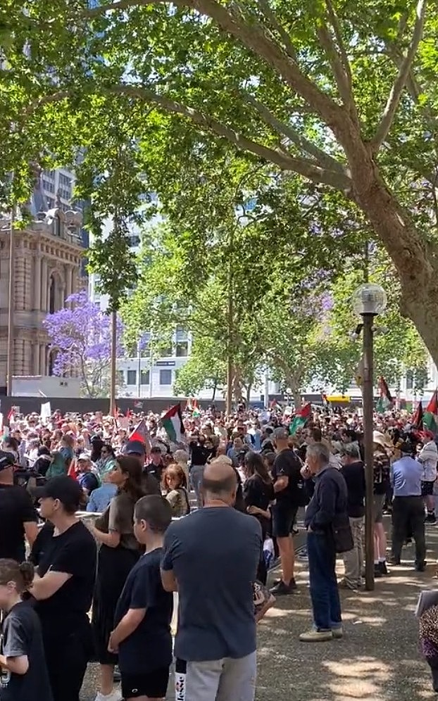 悉尼CBD再次爆发亲巴勒斯坦游行！数千示威者涌向市政厅（视频/组图） - 22