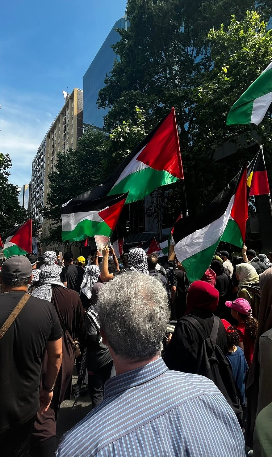 悉尼CBD再次爆发亲巴勒斯坦游行！数千示威者涌向市政厅（视频/组图） - 6