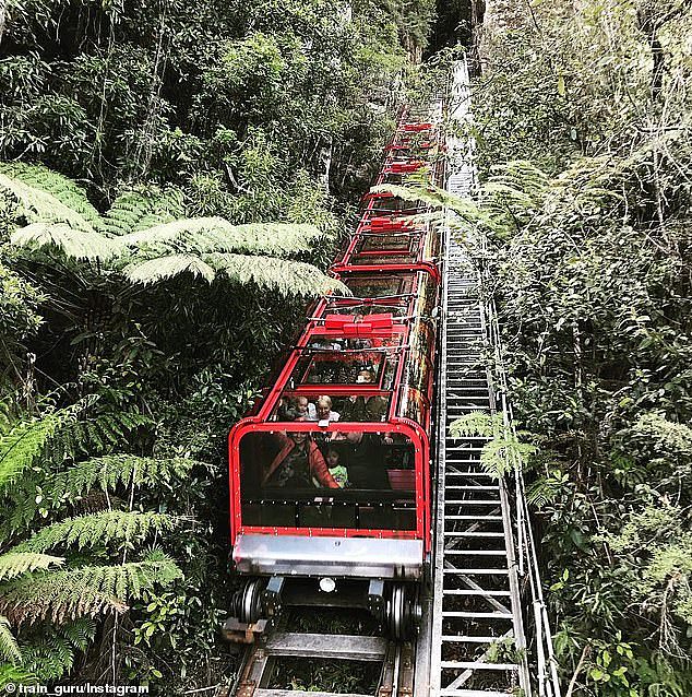 The small passenger train descends 310 metres down the side of a mountain at a nerve-racking 52-degree angle through the lush forest and in and out of rock tunnels