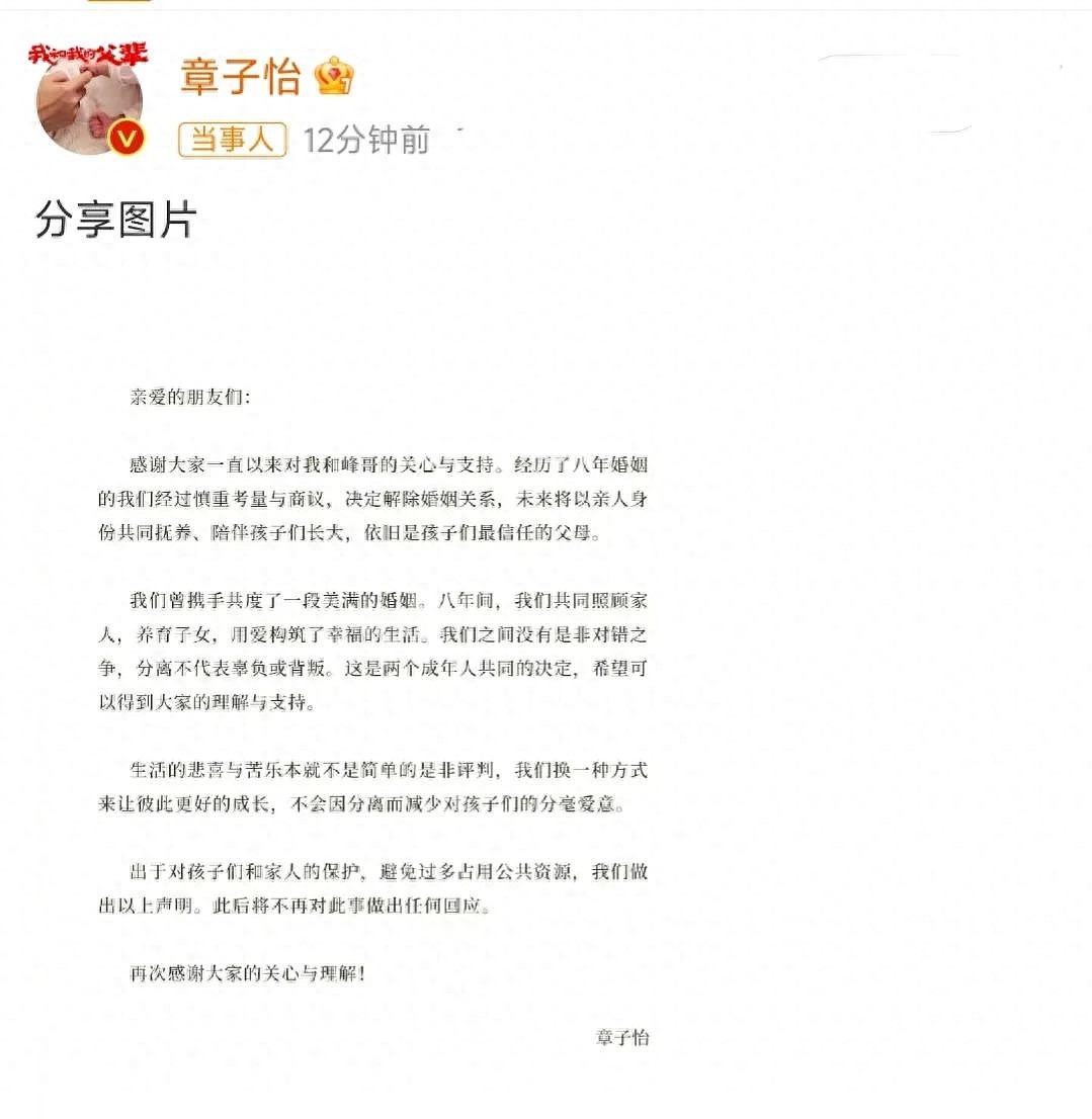 章子怡汪峰官宣离婚，女方从35亿里只分走8亿？夫妻利益绑定不深（组图） - 2