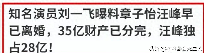 章子怡汪峰离婚！没有出轨背叛，但前女友早揭露汪峰“隐私”（组图） - 2