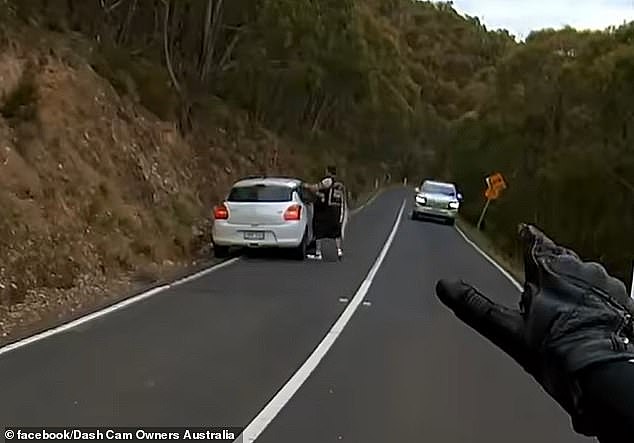 一名路过的摩托车手挥手让车停下，然后车突然停下来，结果司机不小心将他的宠物从车窗扔了回去。