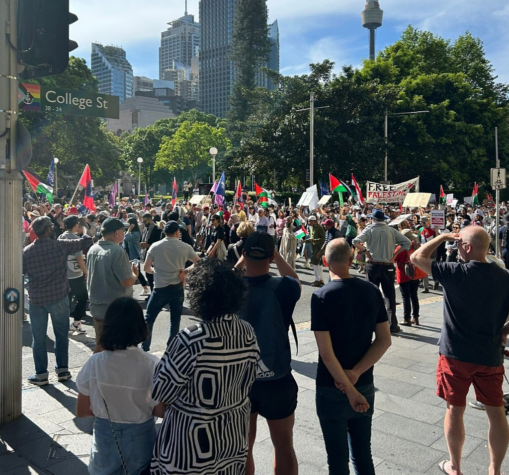 悉尼CBD再次爆发万人大游行！巴以双方支持者涌上街头，警方如临大敌（视频/组图） - 5