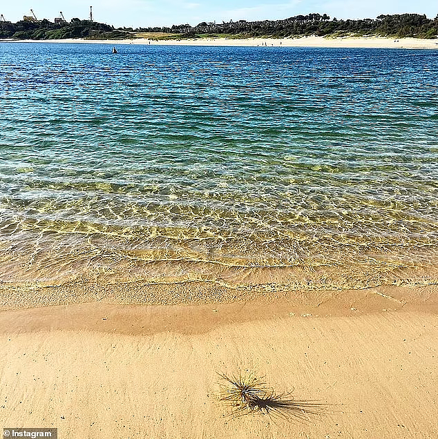 悉尼宝藏海滩被发现了！距CBD仅7公里，海水清澈风景如画（组图） - 4
