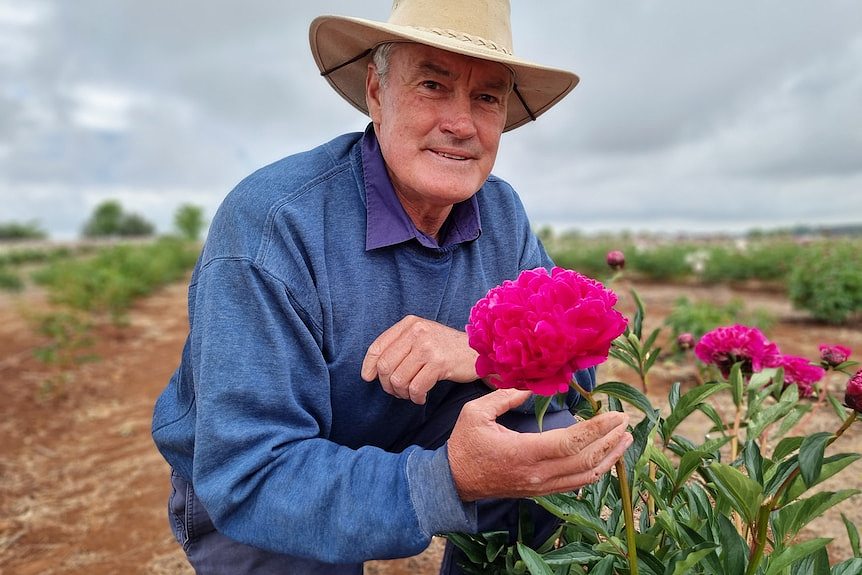 A man hold a pink flower in his hand.