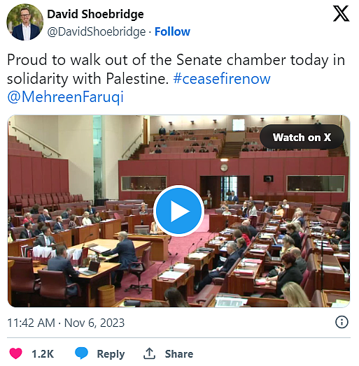 澳参议院响起“自由巴勒斯坦”口号，多名参议员退席！工党被批忽略巴以停火呼声（视频/组图） - 3