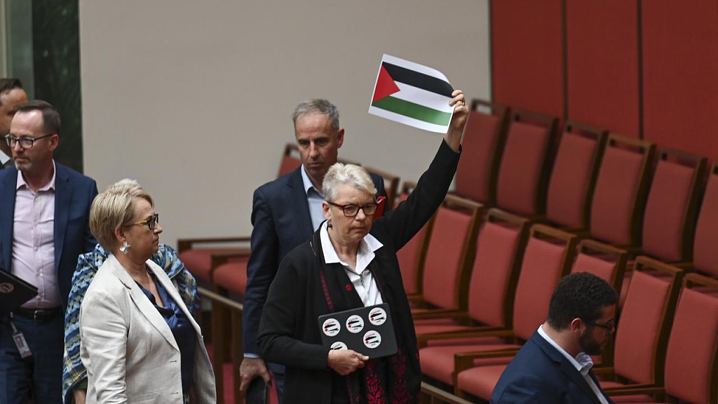 澳参议院响起“自由巴勒斯坦”口号，多名参议员退席！工党被批忽略巴以停火呼声（视频/组图） - 5