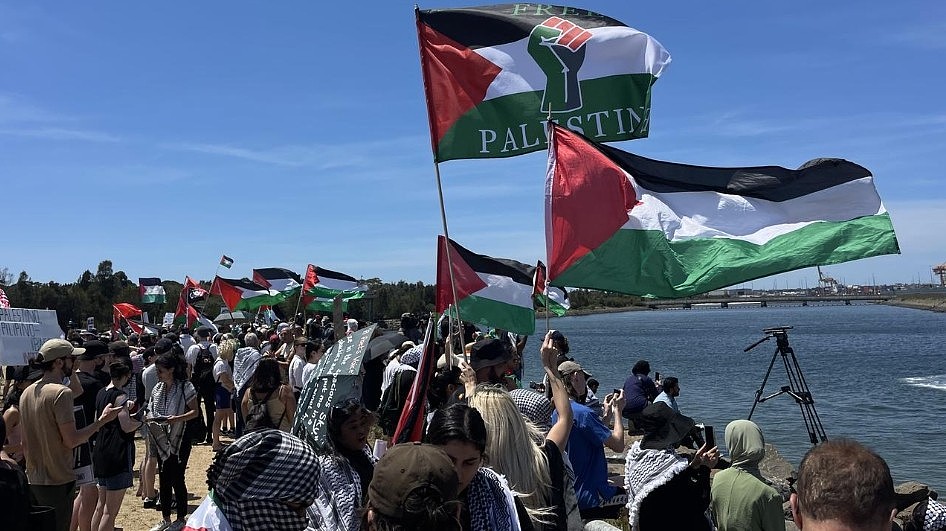 悉尼再爆亲巴勒斯坦集会！抗议者聚集港口，有人跳下水阻止以色列货船靠岸（组图） - 2