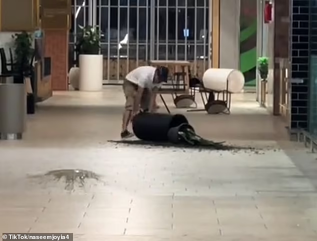 男子大闹悉尼商场，扔桌椅砸盆栽，现场一地狼藉！路人：他疯了，快报警（视频/组图） - 3