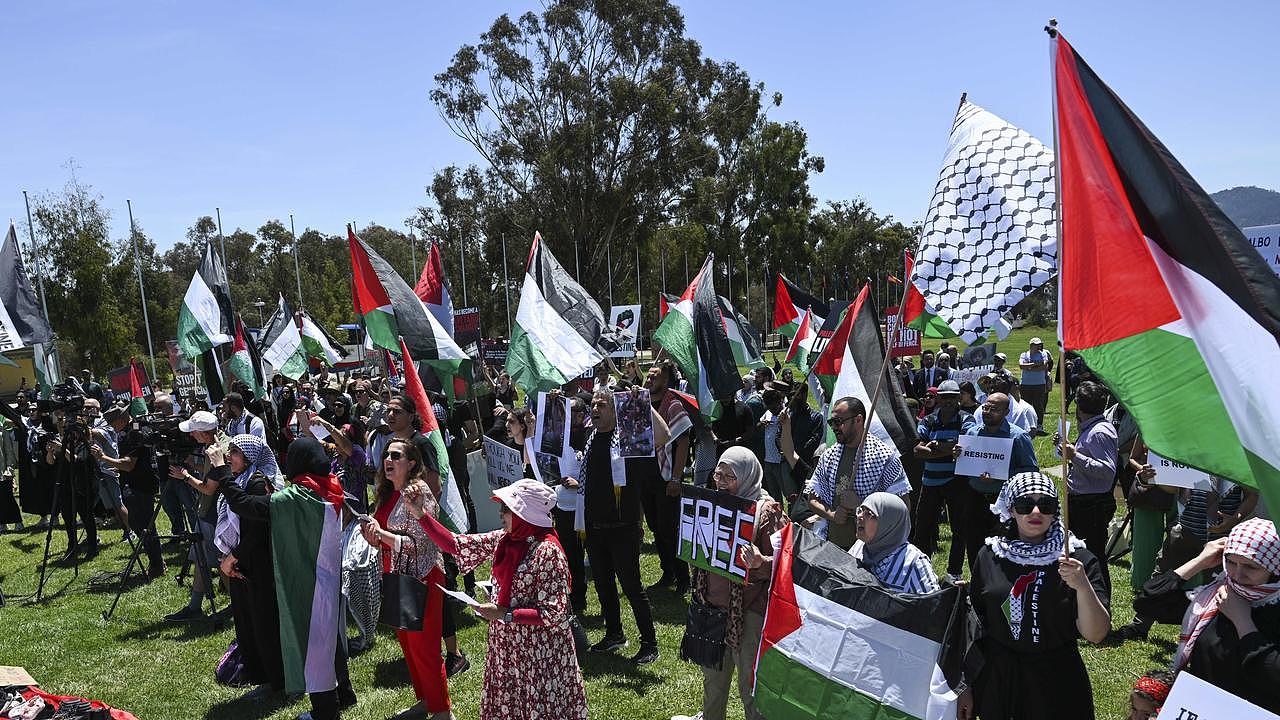Approximately 400 demonstrators convened on the front lawn of Parliament House. Picture: NCA NewsWire / Martin Ollman