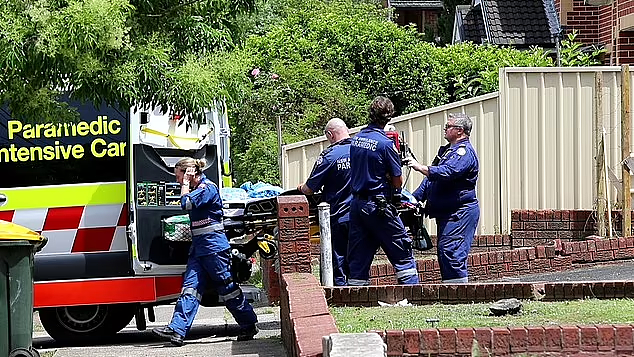 悉尼发生坠楼事故，2岁男童跌落10米！重伤送医（视频/组图） - 4