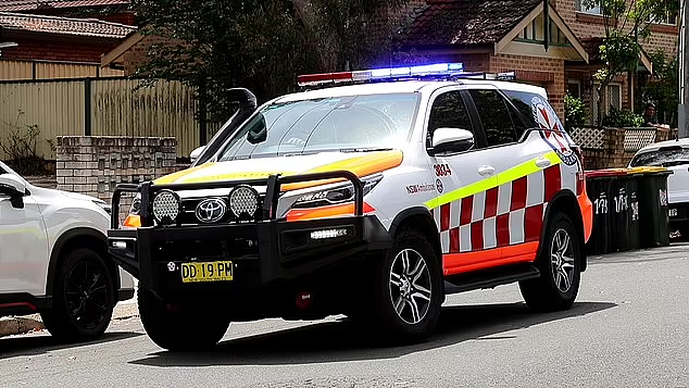 悉尼发生坠楼事故，2岁男童跌落10米！重伤送医（视频/组图） - 9