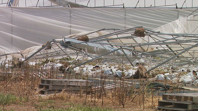 反常风暴席卷昆州农场，农民损失惨重！圣诞节前蔬菜恐涨价（组图） - 3
