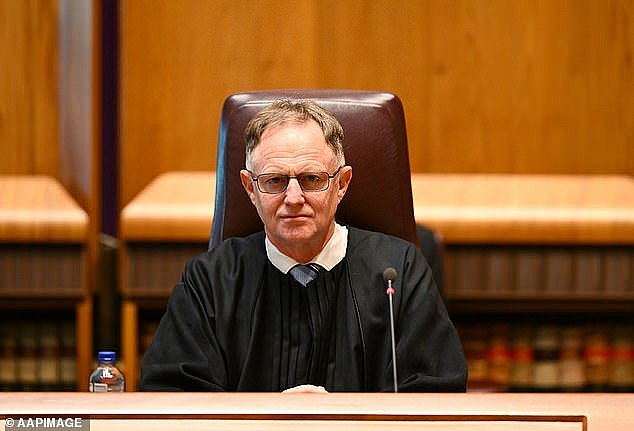 Chief Justice Stephen Gageler (pictured) was told some detainees were deemed less desirable to other countries because of their criminal record or the security risk they might pose