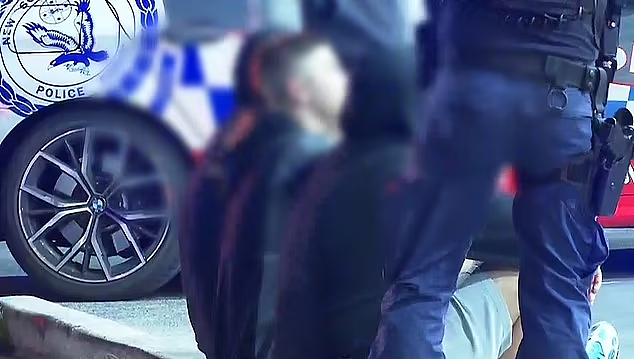 悉尼加油站发生冲突！犹太男子遭4名手持巴勒斯坦国旗青少年威胁，后视镜被砸（视频/组图） - 7
