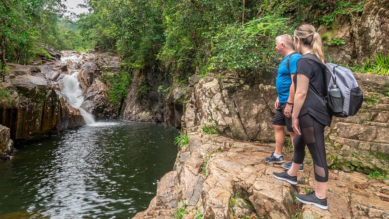 Eungella National Park, home to platypus, is now directly accessible to hundreds of thousands of Gold Coast residents. Picture: Tourism and Events Queensland