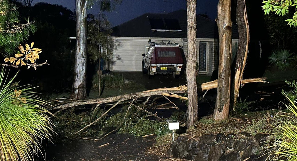 澳女家中花园遭闪电击中，15米大树被劈开！房子逃过一劫，直呼：太幸运，要买彩票（组图） - 2