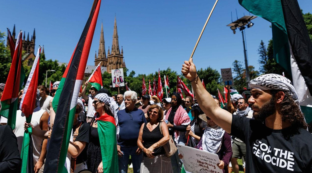 悉尼墨尔本连续数周爆发游行示威！巴以双方支持者涌上街头（组图） - 3