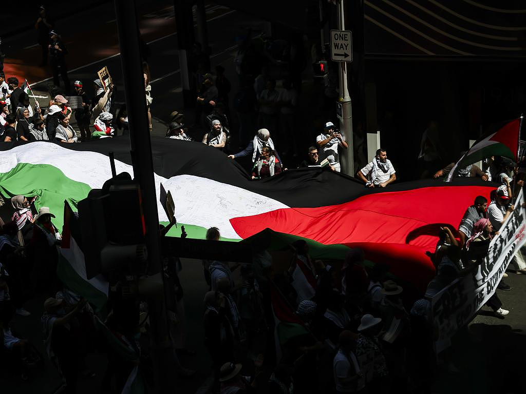 澳洲多地学生计划本周罢课，参与亲巴勒斯坦集会！专家敦促父母干预（组图） - 3