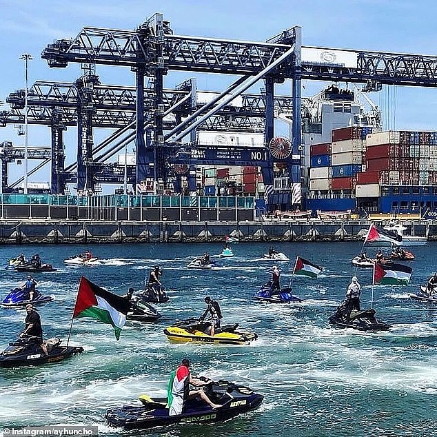 The shipping company targeted by Saturday's jetski blockade at Sydney 's Port Botany has denied claims it was gun-running weapons for Israel to use in Gaza