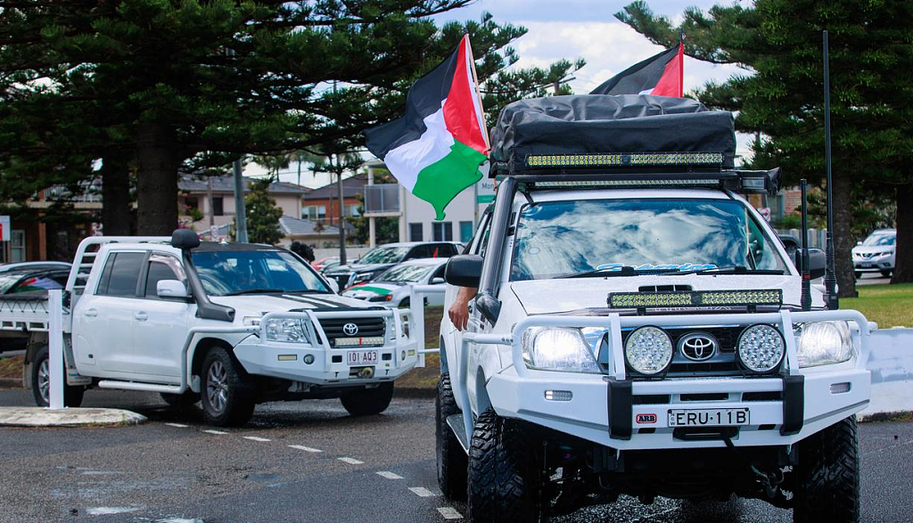 悉尼亲巴勒斯坦车队集结，上街示威！抗议队伍中包括小孩（组图） - 3