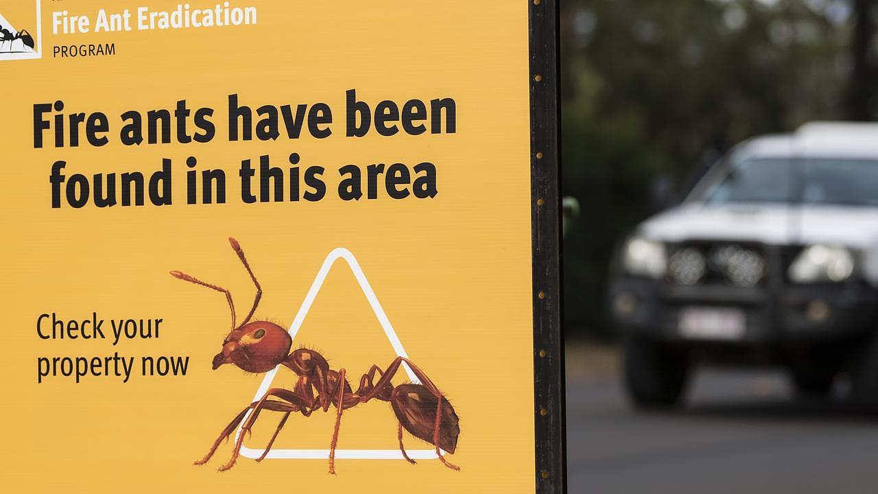 海菲尔德的昆士兰州政府标牌上写着，七月份在该地区发现了火蚁。 图片：凯文·法默
