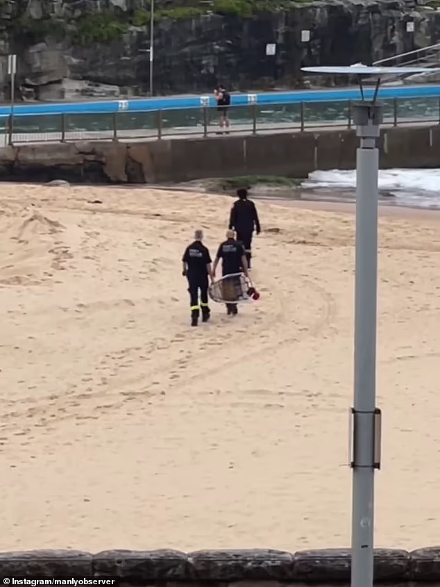悉尼热门海滩发生坠落事故，14岁男孩头部受伤！（视频/组图） - 3