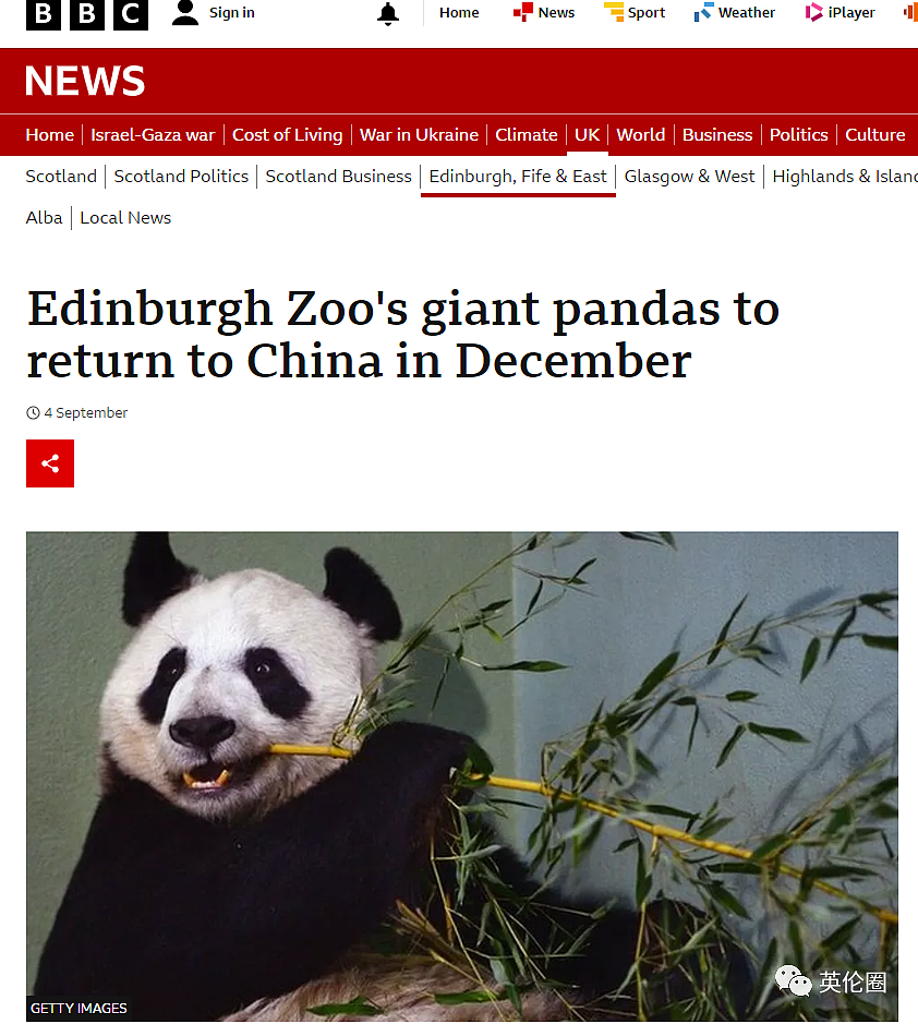 “养不起了“？英国仅有两只大熊猫下月回中国！ 地位比肩王室子嗣，民众心碎：爱我别走...（组图） - 1
