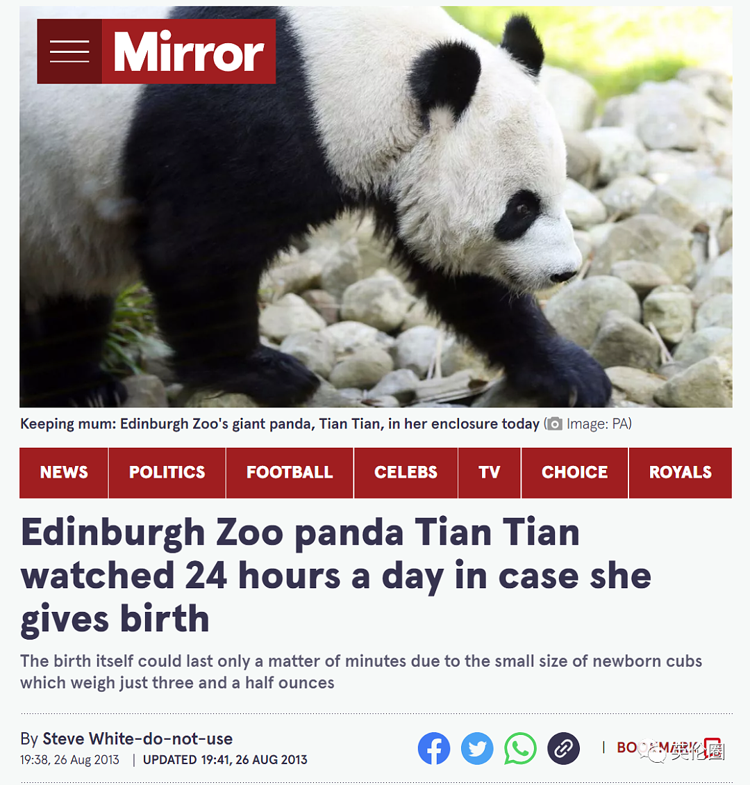“养不起了“？英国仅有两只大熊猫下月回中国！ 地位比肩王室子嗣，民众心碎：爱我别走...（组图） - 18