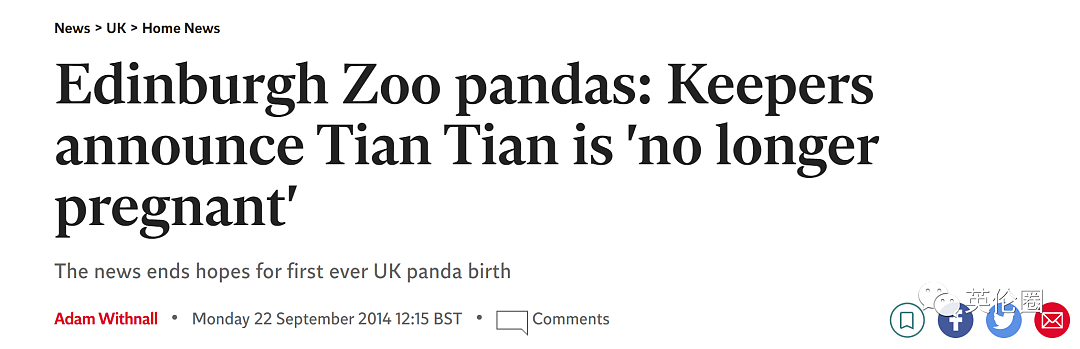 “养不起了“？英国仅有两只大熊猫下月回中国！ 地位比肩王室子嗣，民众心碎：爱我别走...（组图） - 21