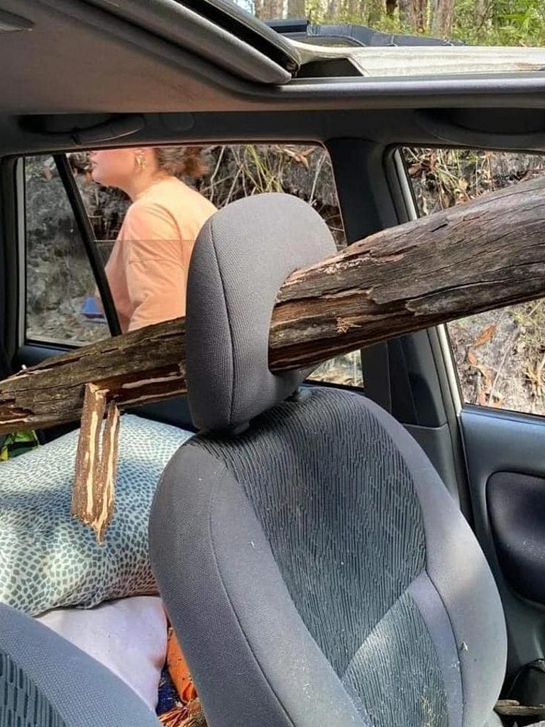 Dan managed to duck before the tree impacted the car. Picture: Facebook