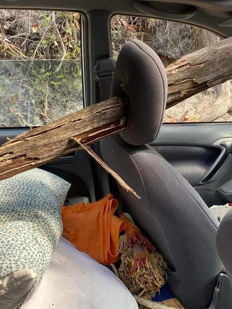 The tree pierced through the head rest. Picture: Facebook