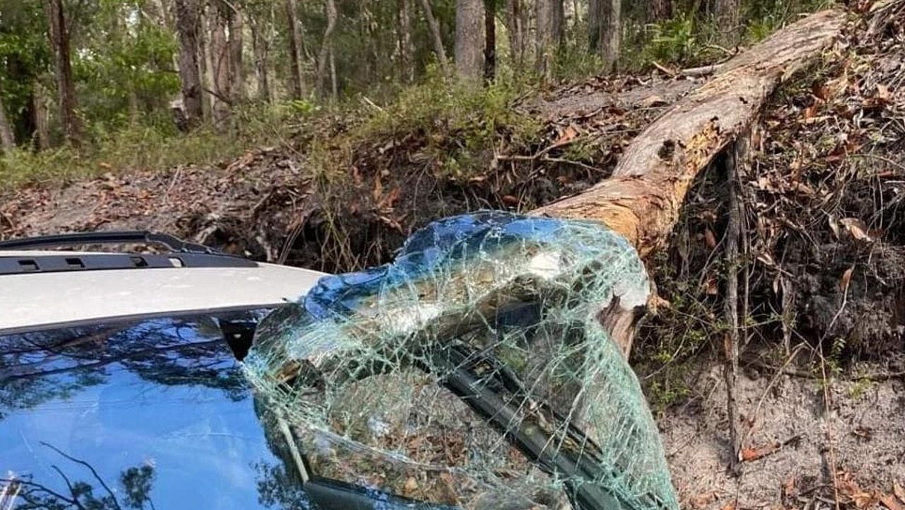 A tree falls onto the windscreen of a Schoolies group earlier this week. Picture: Facebook