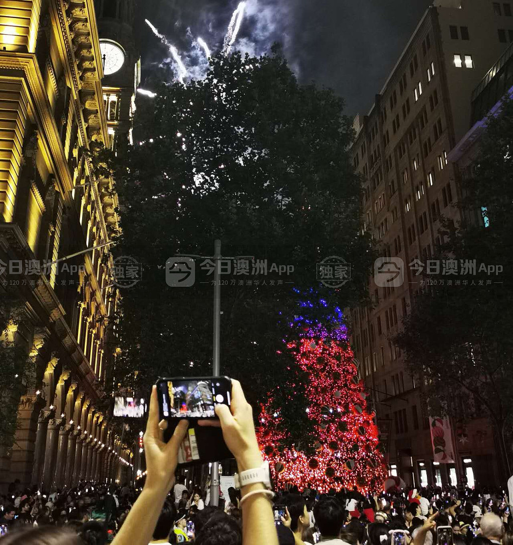 圣诞老人来啦！悉尼马丁广场圣诞树亮灯，市长“雪橇巡游”，数千人冒雨齐倒数（视频/组图） - 5