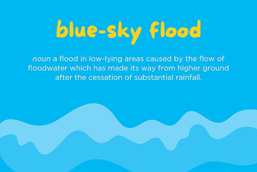 A blue background with waves and writing that describes the term blue sky flood