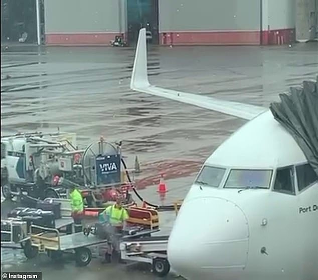 Qantas baggage handlers (pictured) have come under fire after they were seen roughly throwing a band's instruments onto a conveyor belt